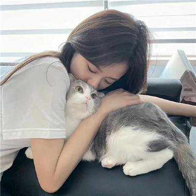 圣诞奇妙公司